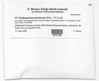 Image of Cladosporium herbarum